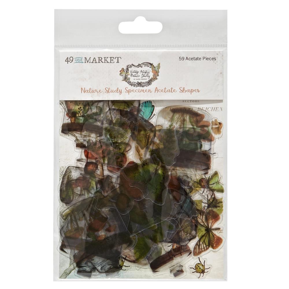 Nature Study Collection - Acetate Shapes Specimen