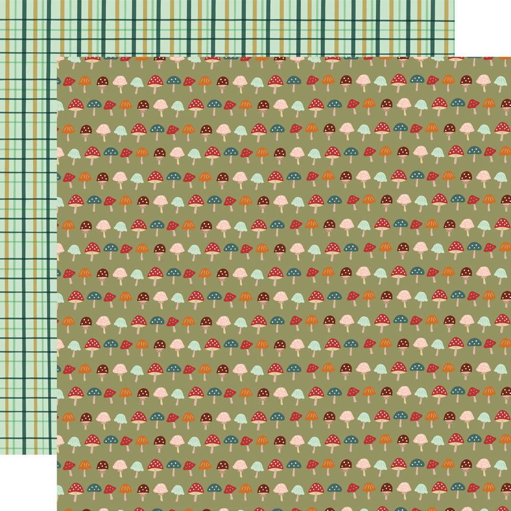 Cider & Donuts - Collection Kit