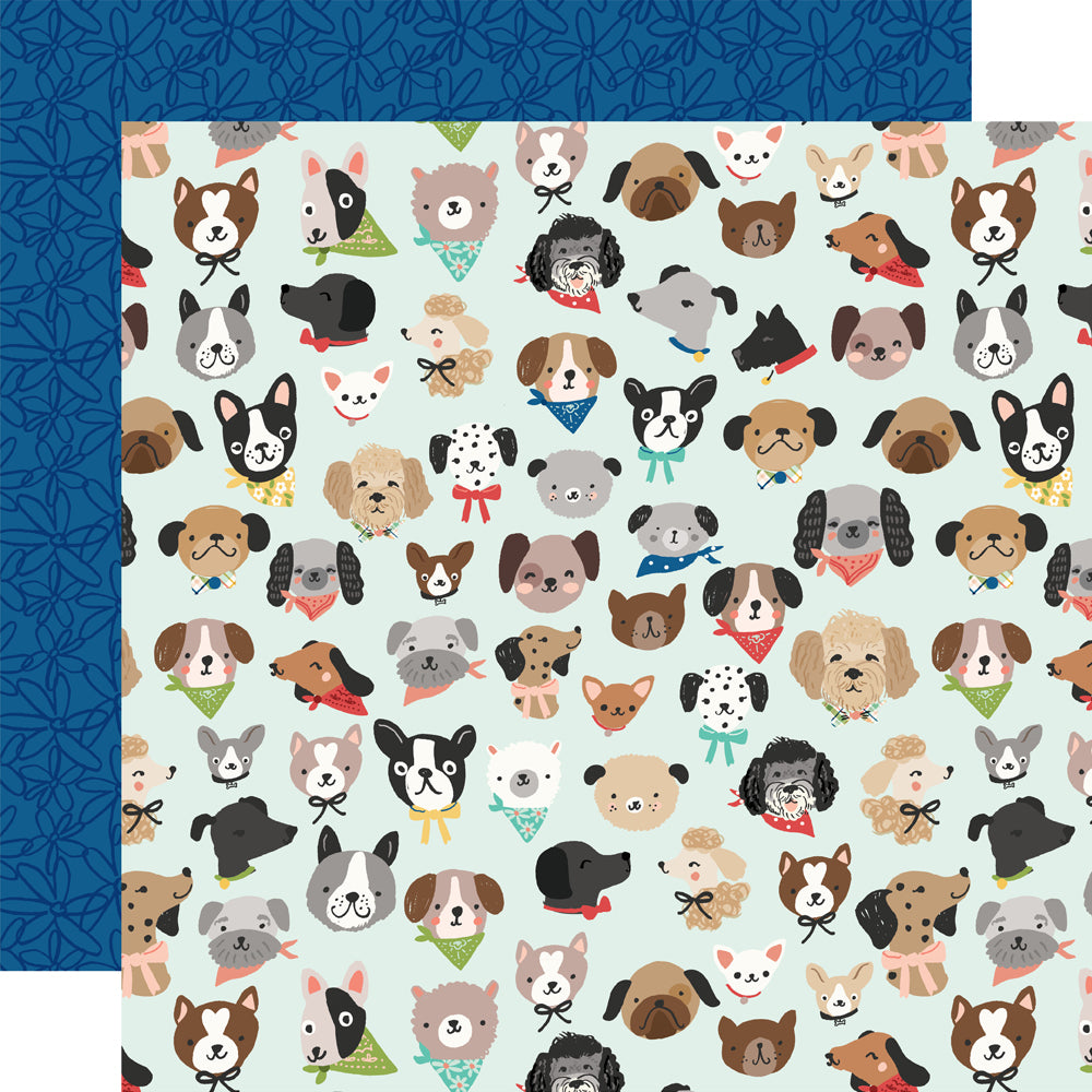 Fur Baby Dog - Collection Kit
