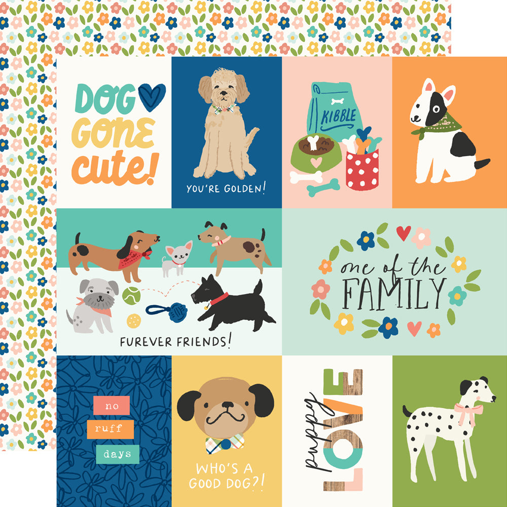 Fur Baby Dog - Collection Kit