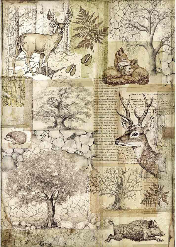Deer & Wild Boar Stamperia Rice Paper Sheet A4