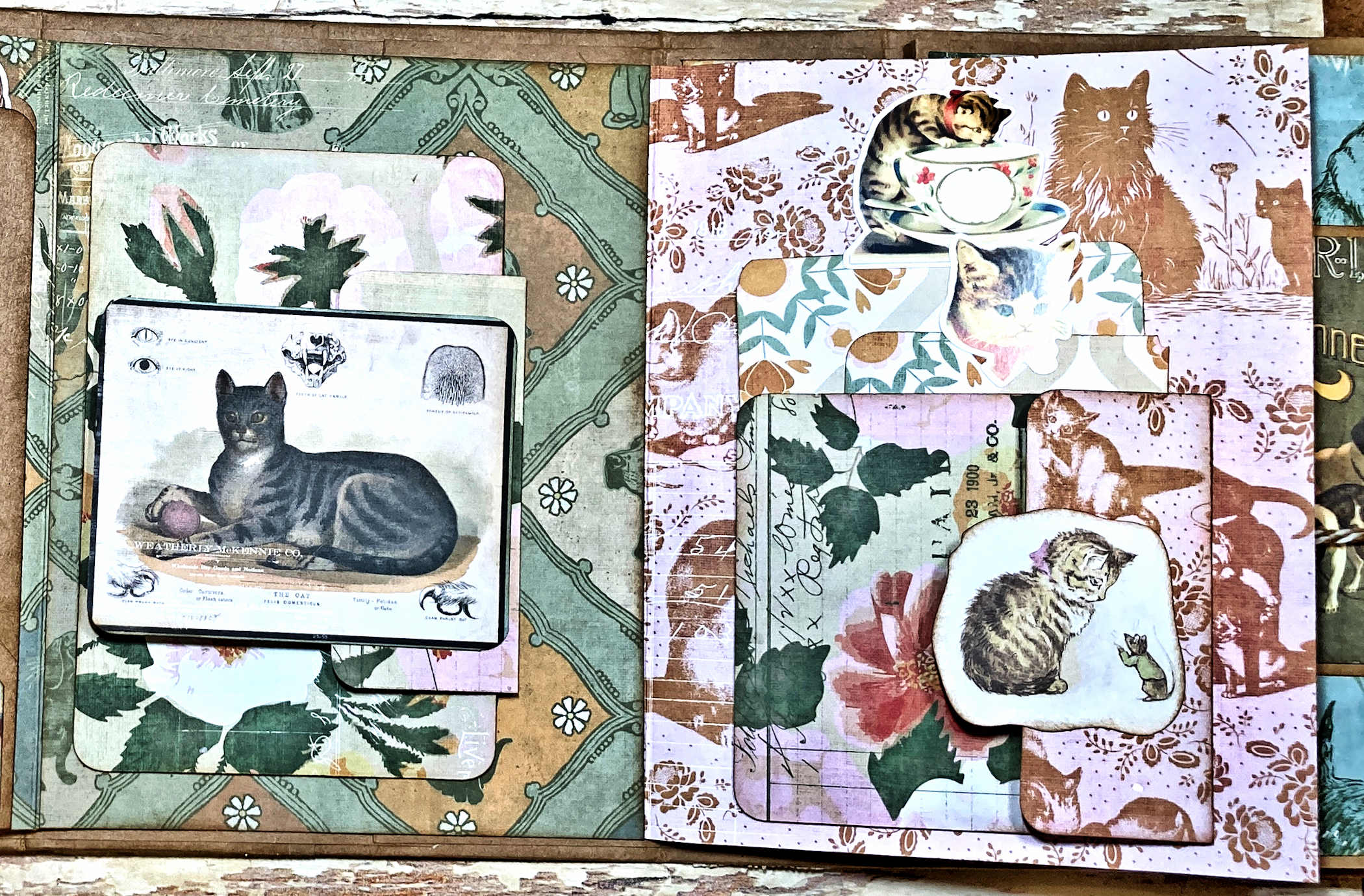 Spot and Oliver Interactive Folio