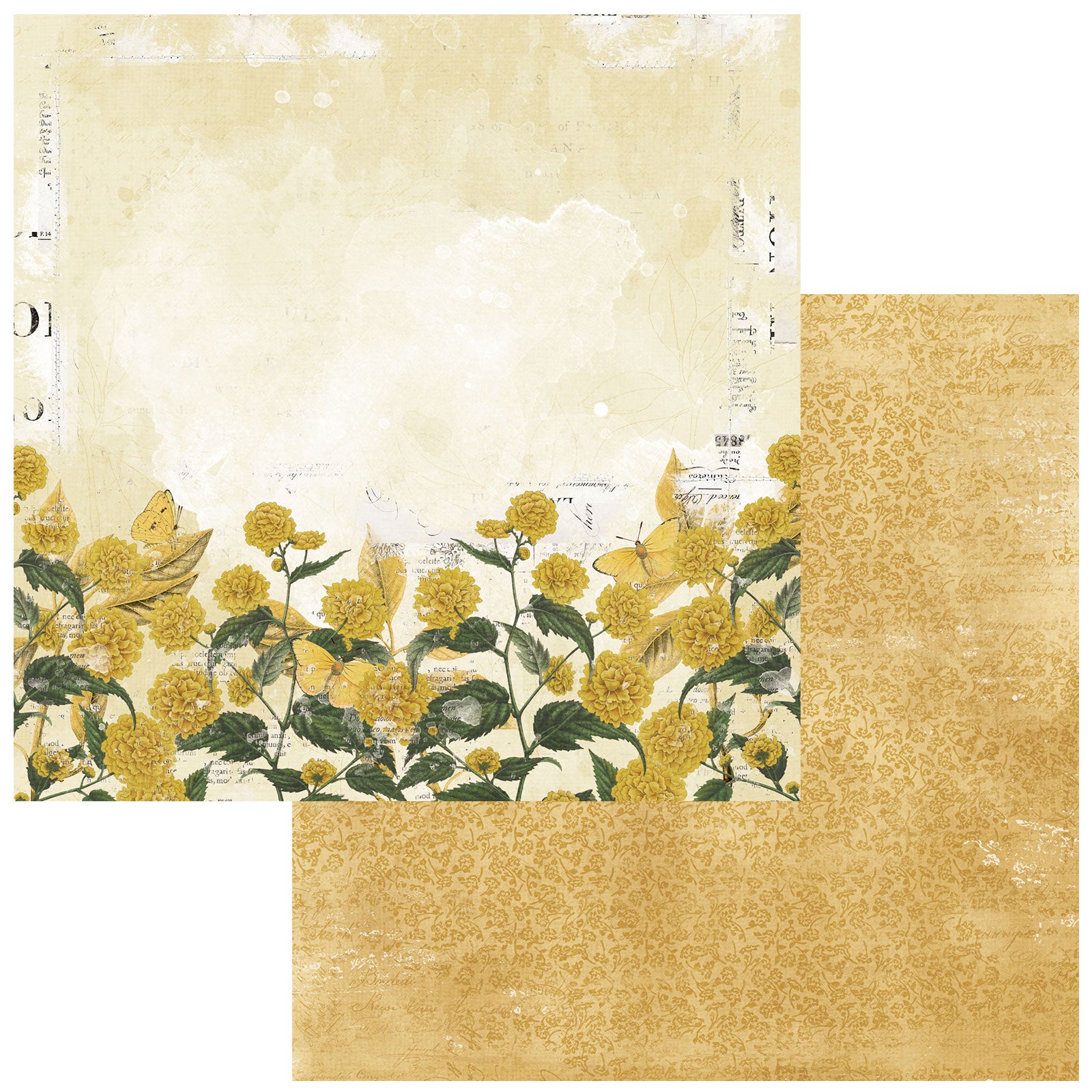 Color Swatch Ochre 12x12 Paper Collection Pack