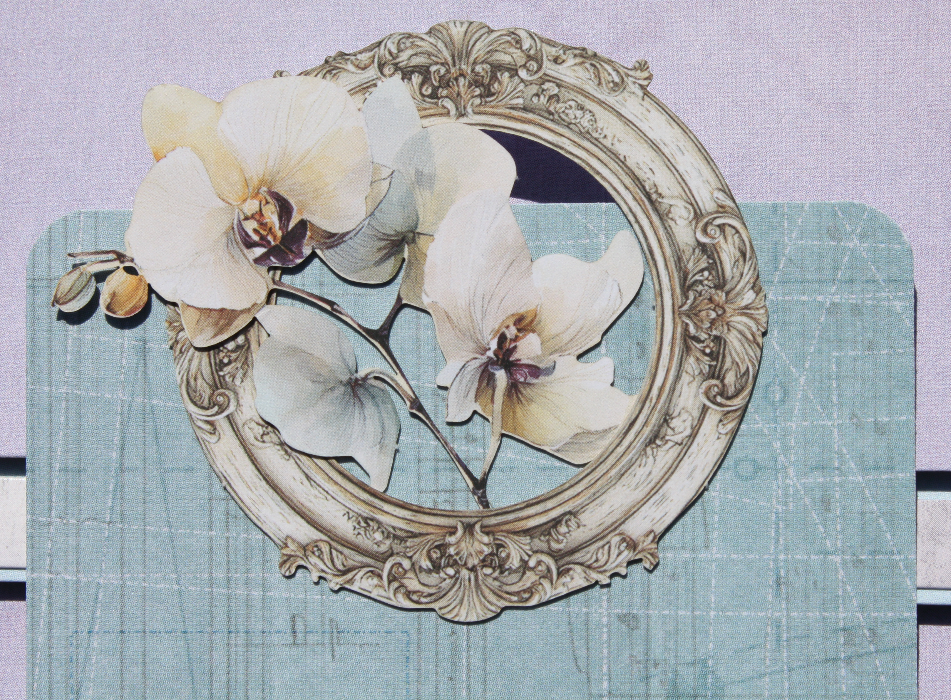 Plume & Petal Mini Album by Nancy Wethington