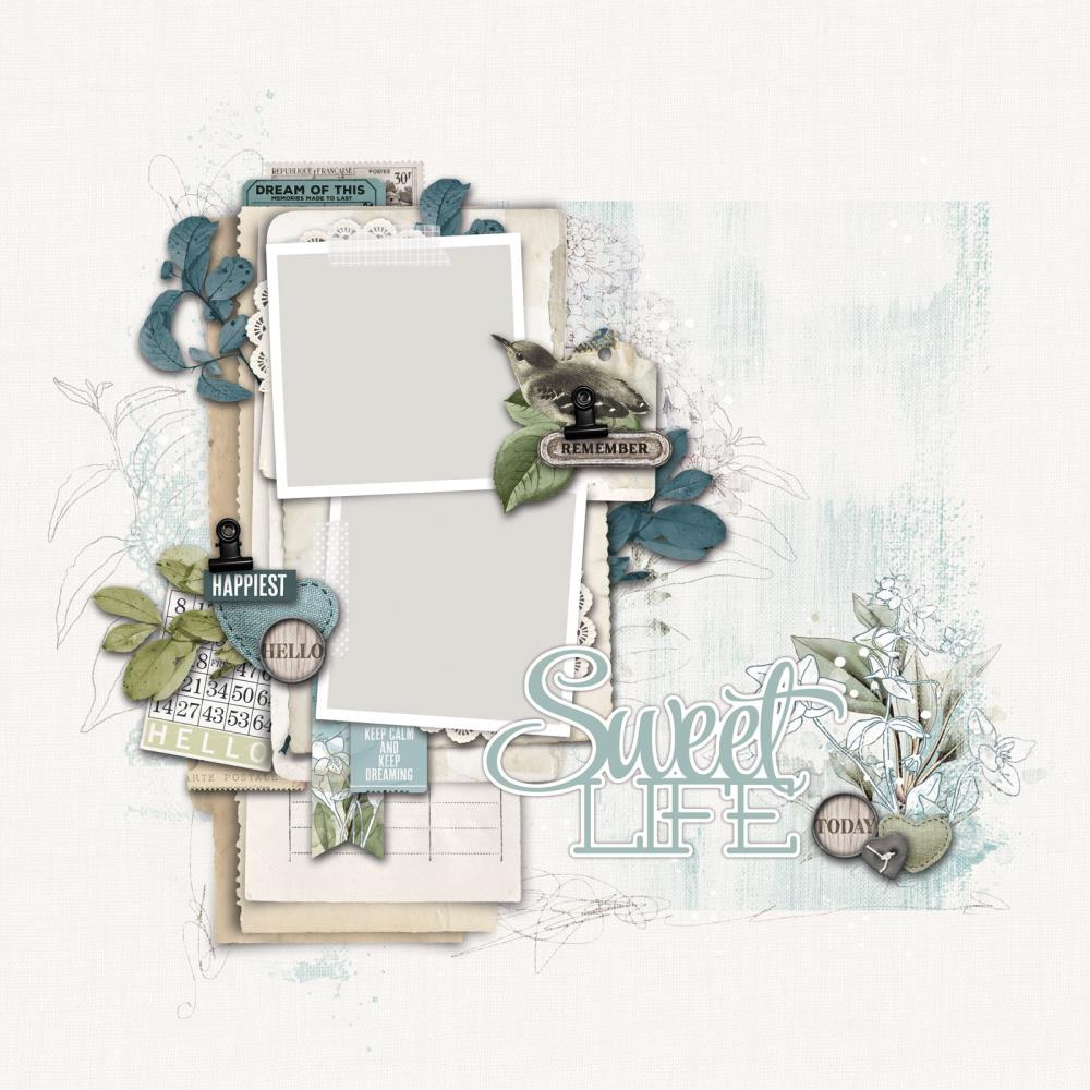 The Vintage Artistry Moonlit Garden Collection Ultimate Page Kit offers a unique collection of essential crafting supplies, including exclusive patterned papers, laser cut elements, adhesive-backed chipboard shapes, large ephemera pieces, mini clips, faux leather cording, and washi tape, giving you everything you need to create impressive layered embellishments and layouts. With this kit, you can bring your crafting to the next level and show off your creative side with ease.