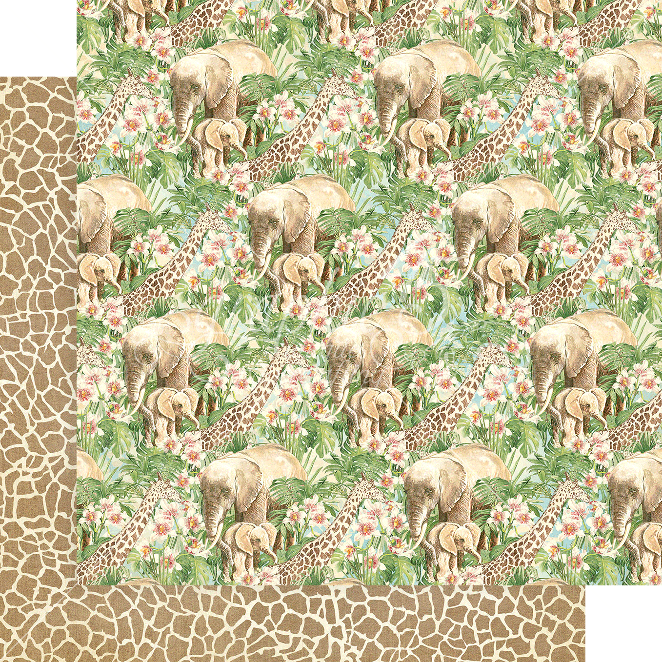 Wild & Free 12x12 Collection Pack