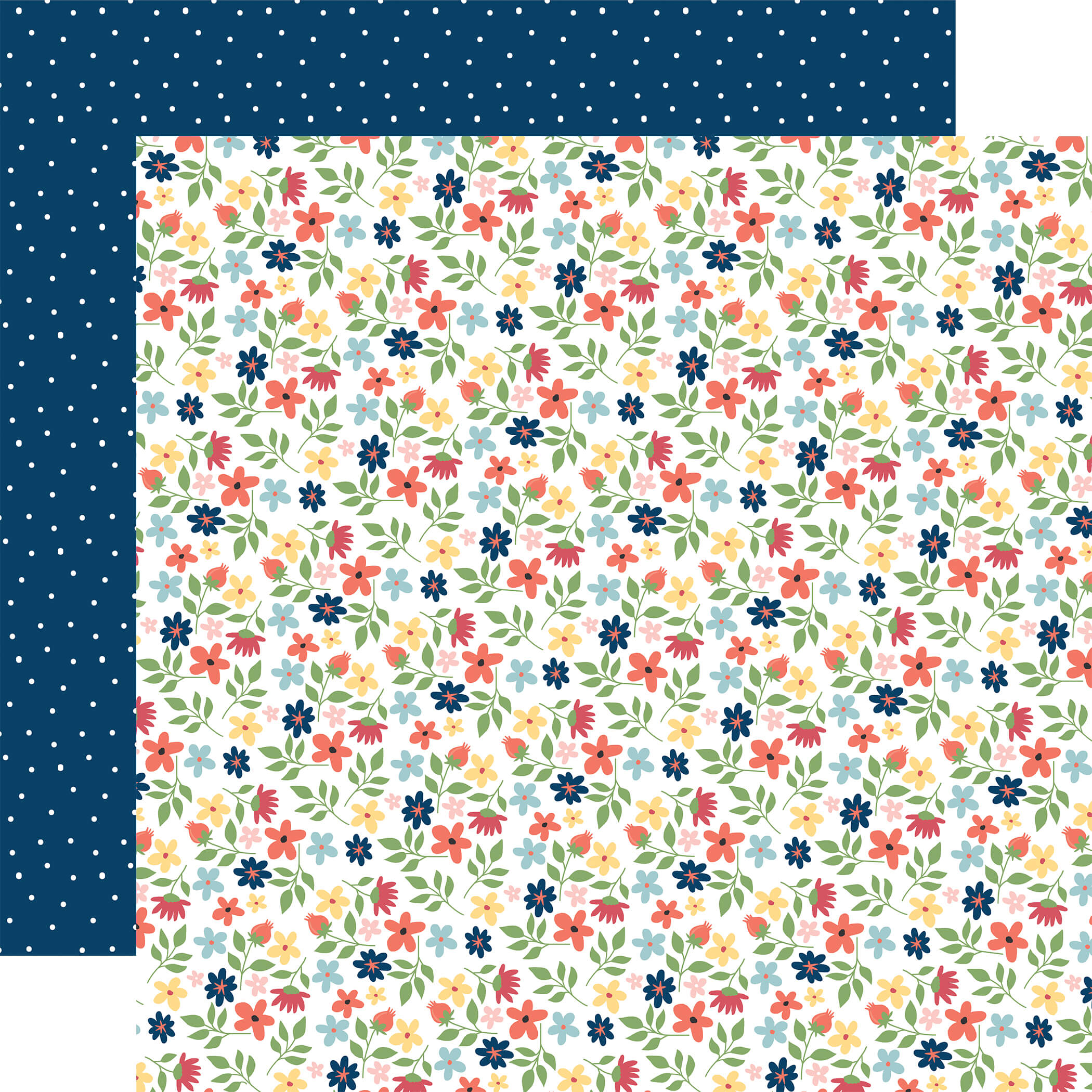 Craft & Create Collection Kit