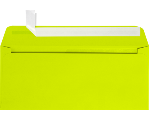 Slimline Window Envelope for Shaker card