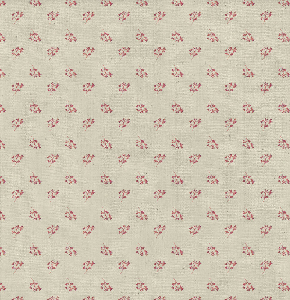 Peter's World 12x12 Collection Pack