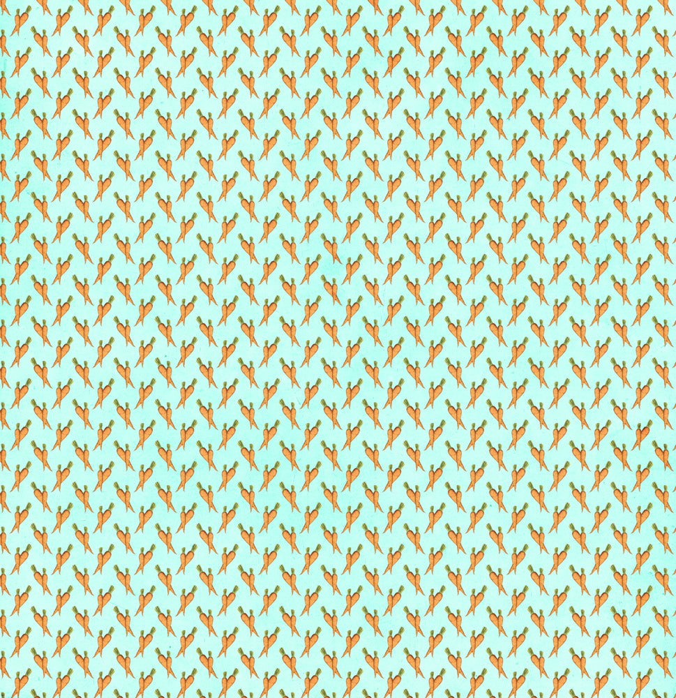 Peter's World 12x12 Collection Pack