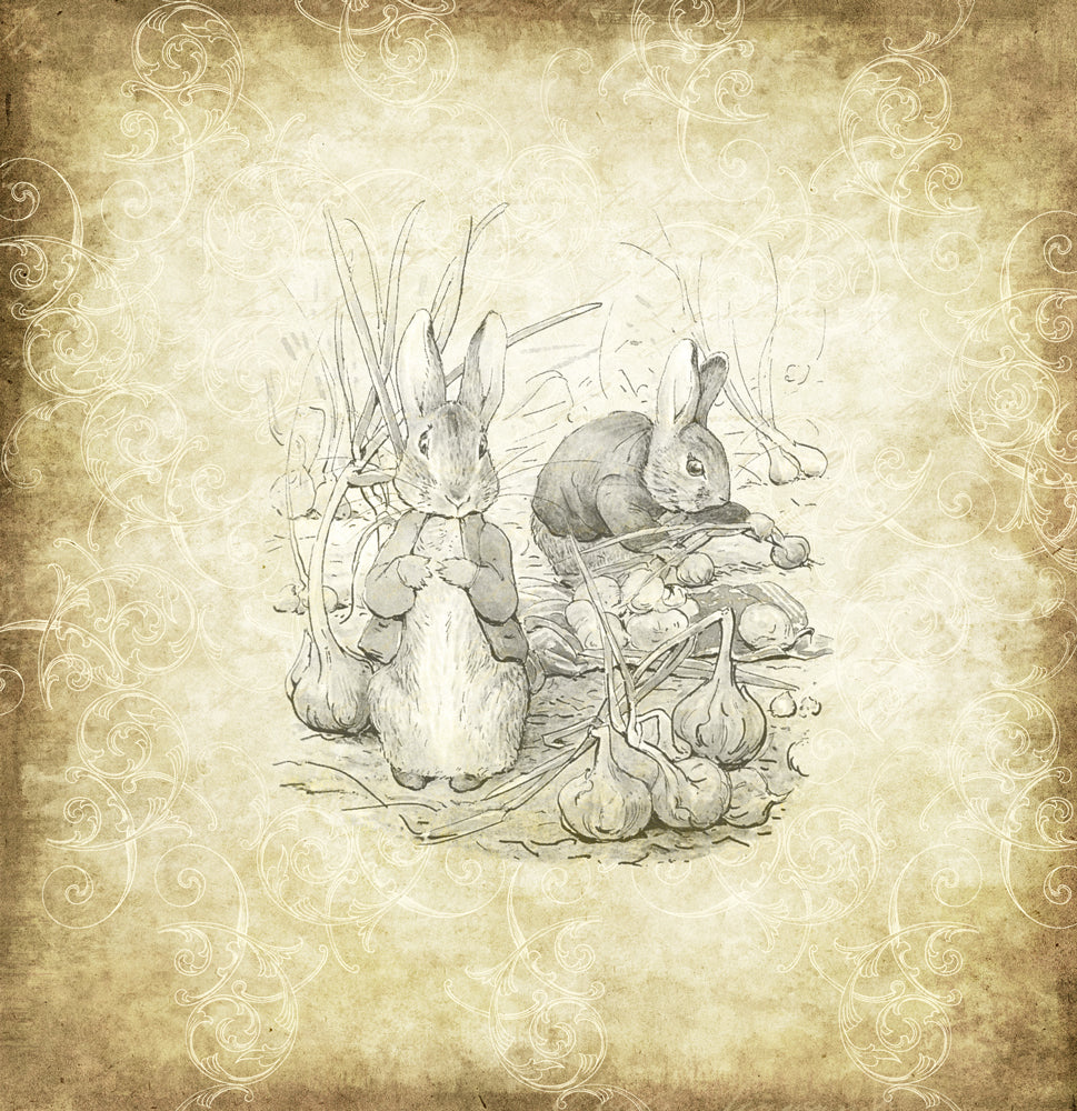 Peter's World 12x12 Collection Pack