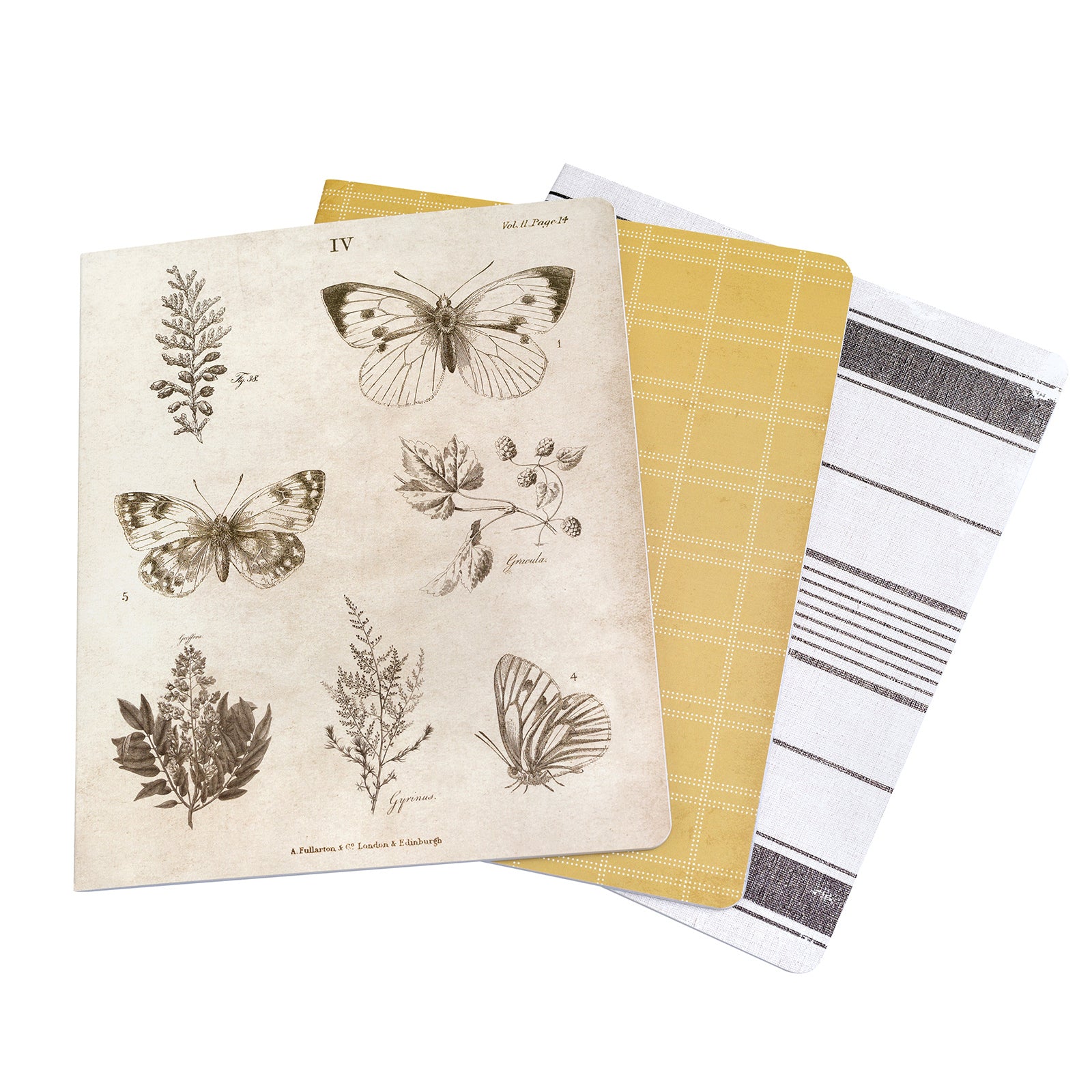 Storyline Chapters Insert Book Set by Heidi Swapp