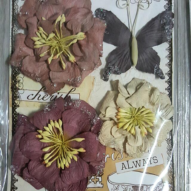 Trioka Fossil Flowers