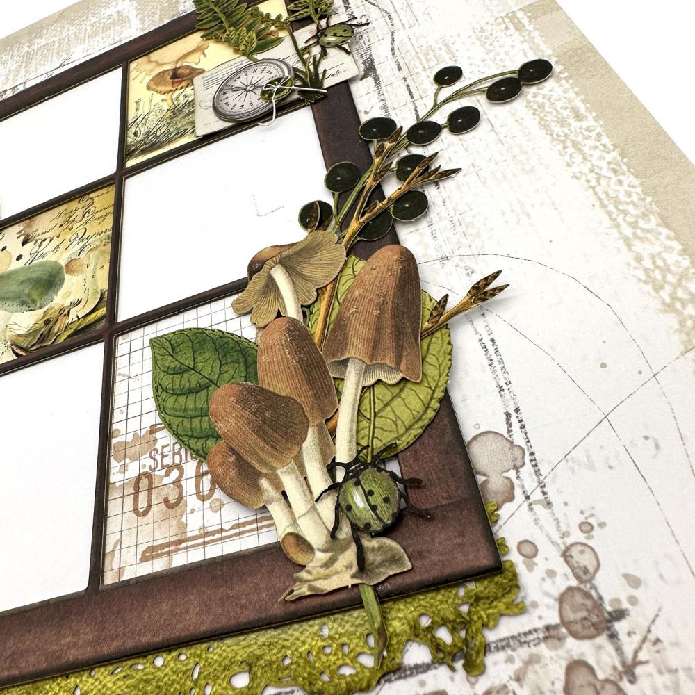 Nature Study 12x12 Ultimate Page Kit