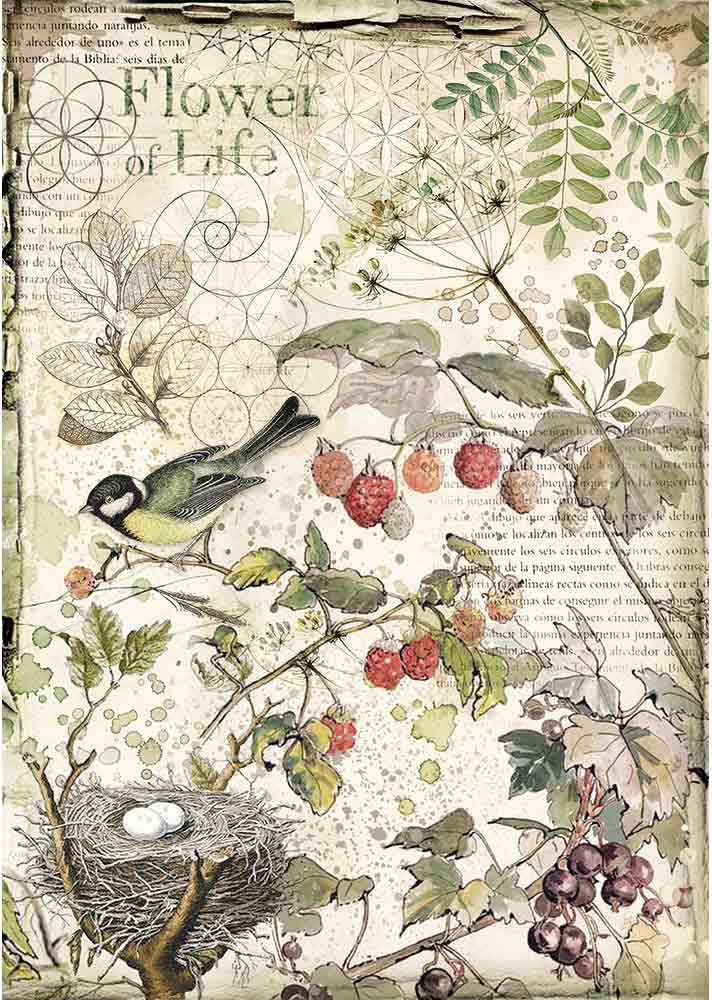 Flowers & Fruits Stamperia Rice Paper Sheet A4