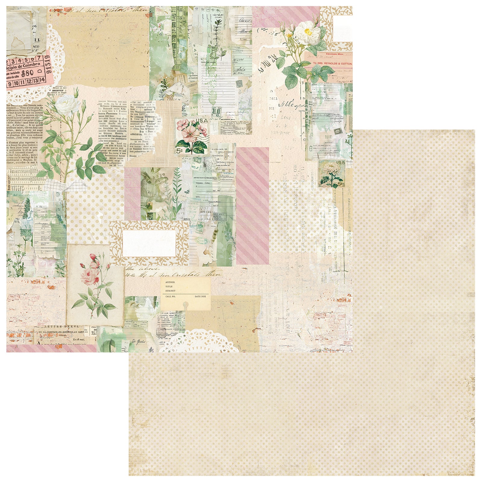 49 and Market 12 x12 Collection Pack- From the Garden