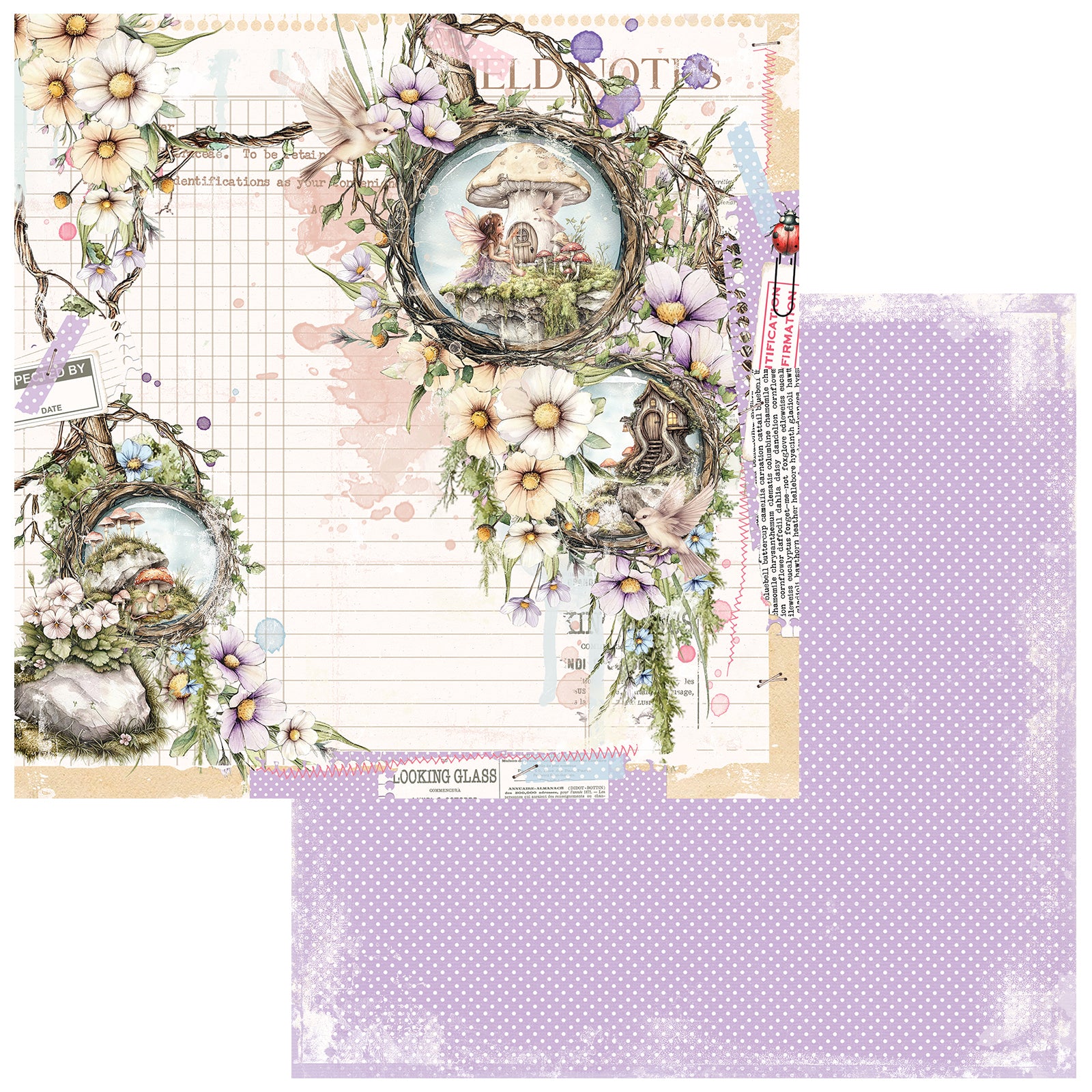 49 and Market 12 x12 Collection Pack- The Looking Glass