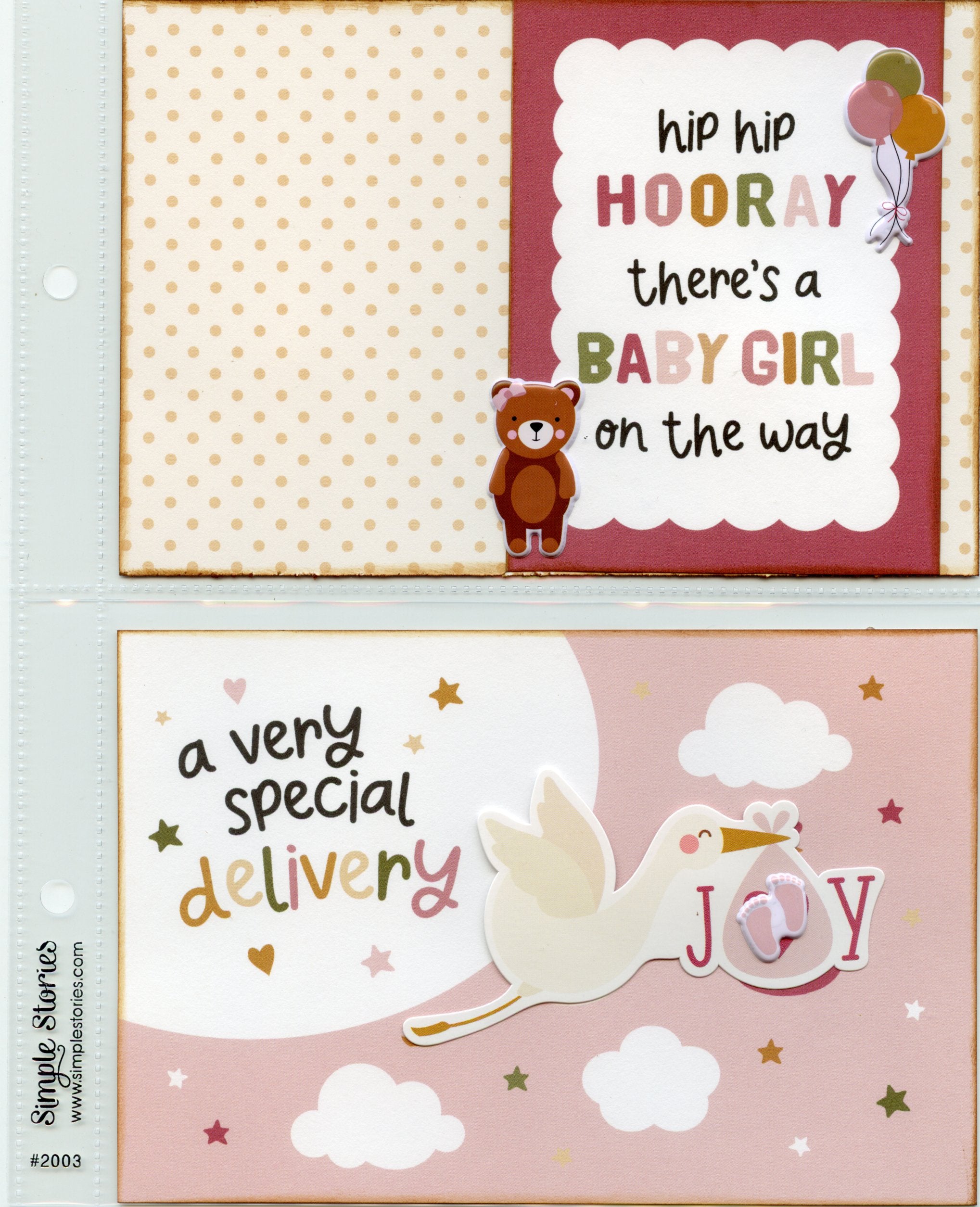 Special Delivery Baby Girl Album