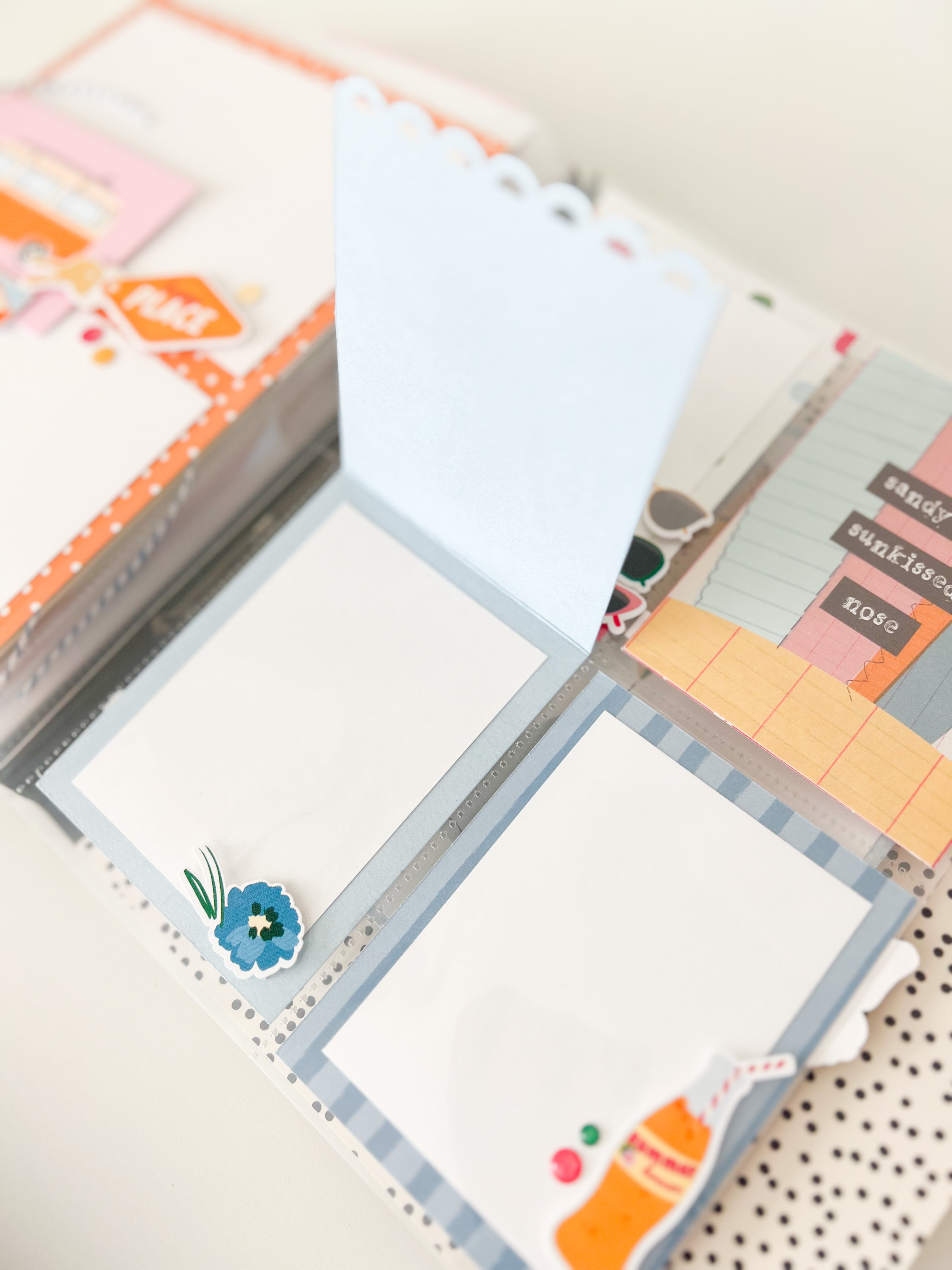 Sunny Day 6X8 Flipbook ~ Shipping Late April