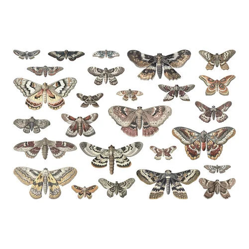 Idea-ology - Tim Holtz - Halloween - Transparencies - Moths