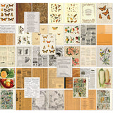 Color Swatch Peach Collection - Collage Sheets