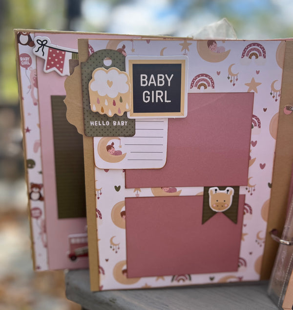 Special Delivery Baby Girl Album