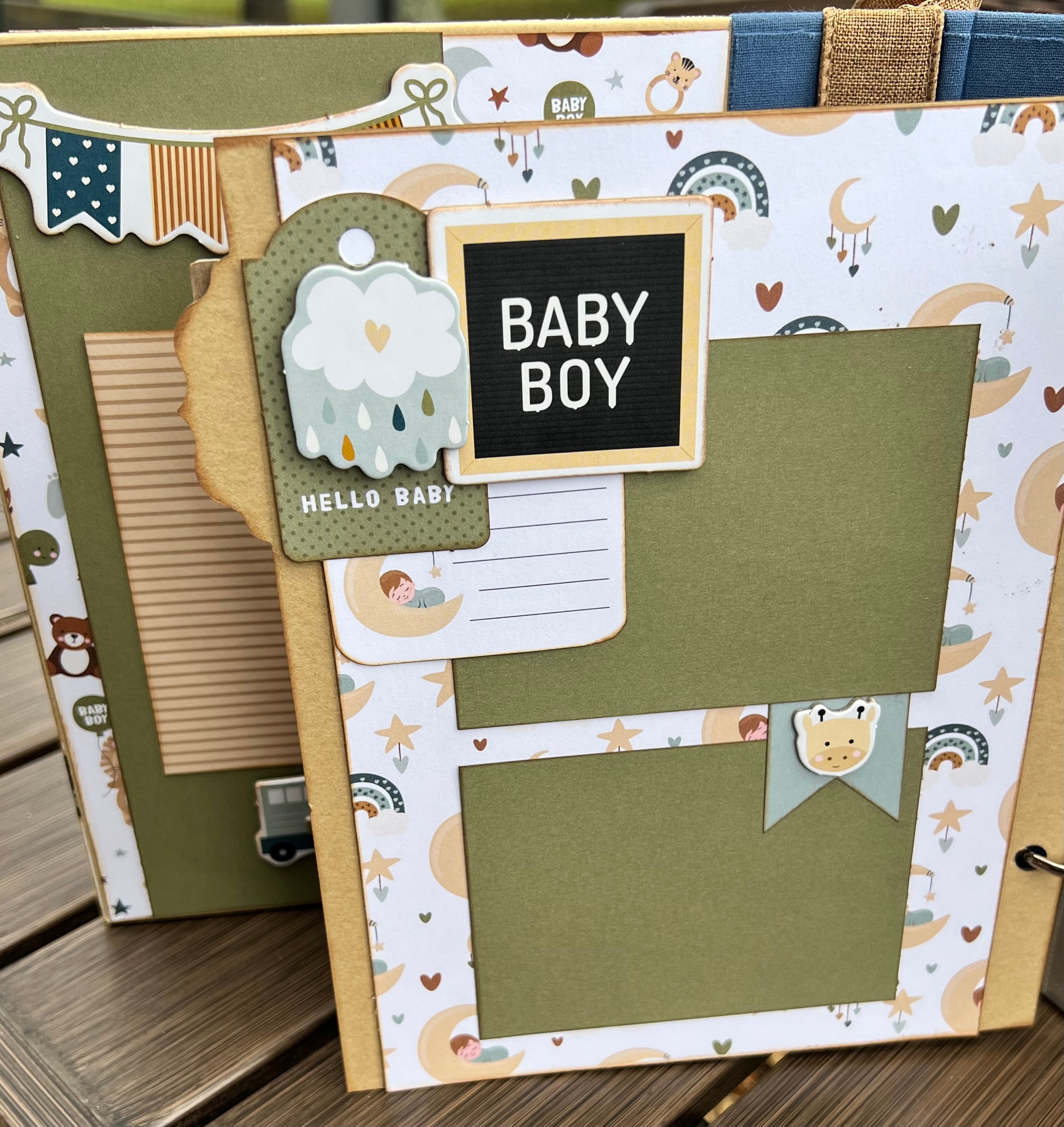 Special Delivery Baby Boy Album