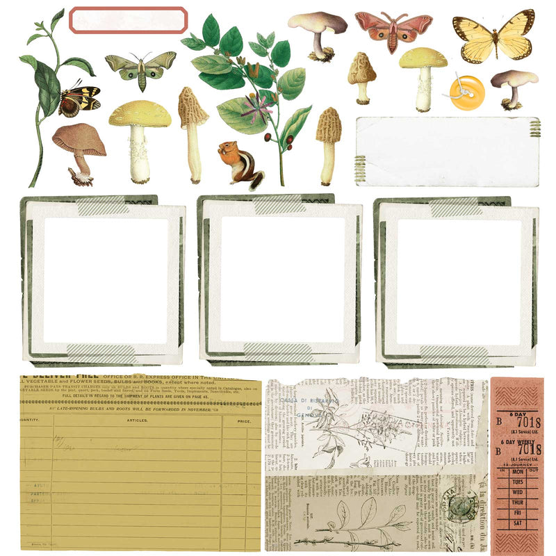 Curators Meadow- 12×12 Collection Paper Pack