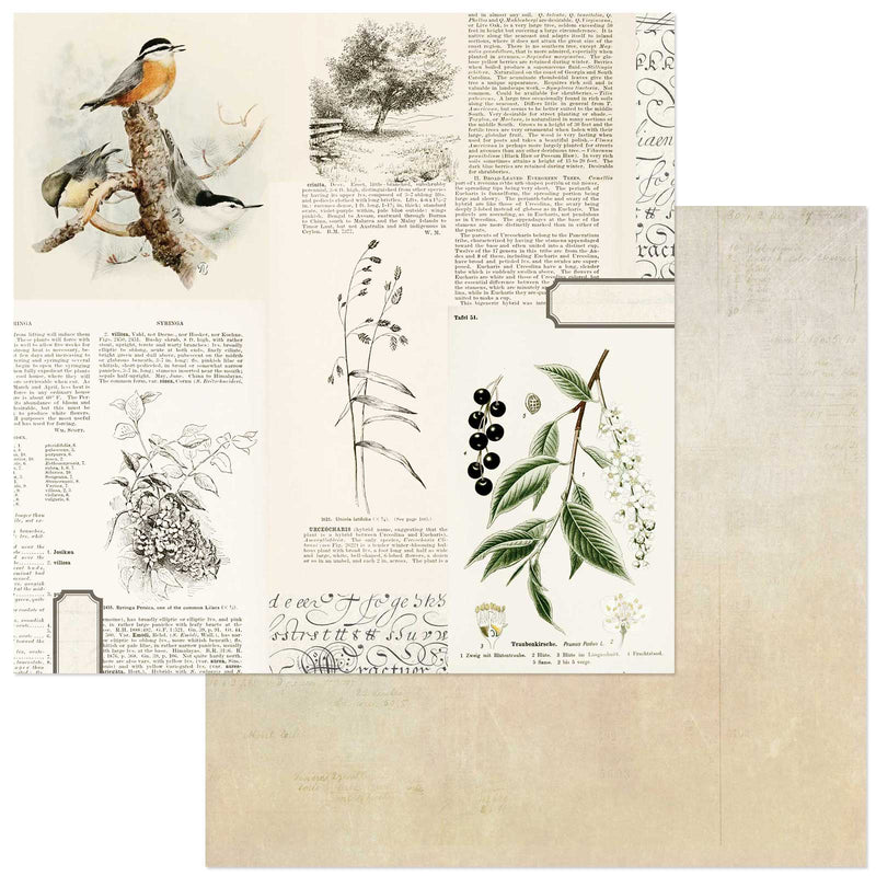 Curators Meadow- 12×12 Collection Paper Pack