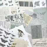 Color Swatch Eucalyptus – Collage Sheets