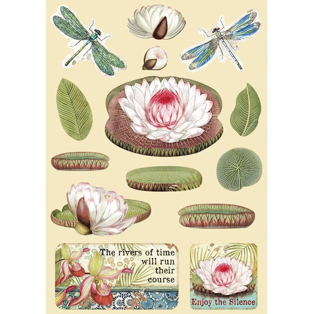 Water Lily Amazonia Wooden Shapes A5