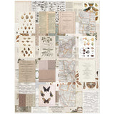 Color Swatch Toast Collection - Collage Sheets