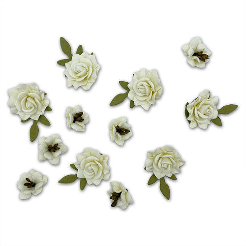 Florets Collection - Cream