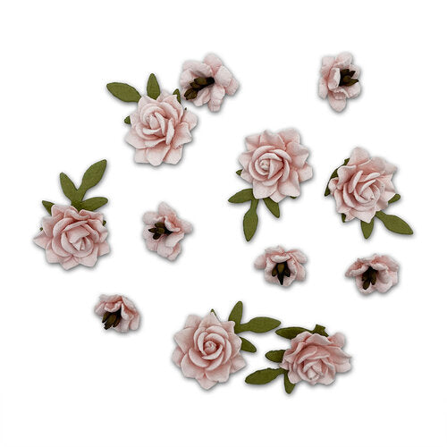 Florets Collection - Taffy