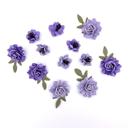 Florets Collection - Kismet