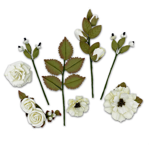 Nature's Bounty Collection - Cream
