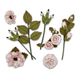 Nature's Bounty Collection - Taffy