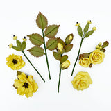 Nature's Bounty Collection - Canary