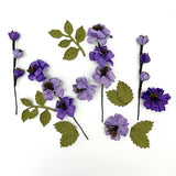 Wild Flowers Collection - Kismet