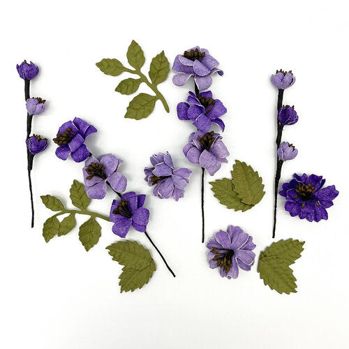 Wild Flowers Collection - Kismet