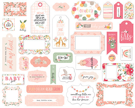Welcome Baby Girl Frames & Tags