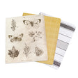 Storyline Chapters Insert Book Set by Heidi Swapp