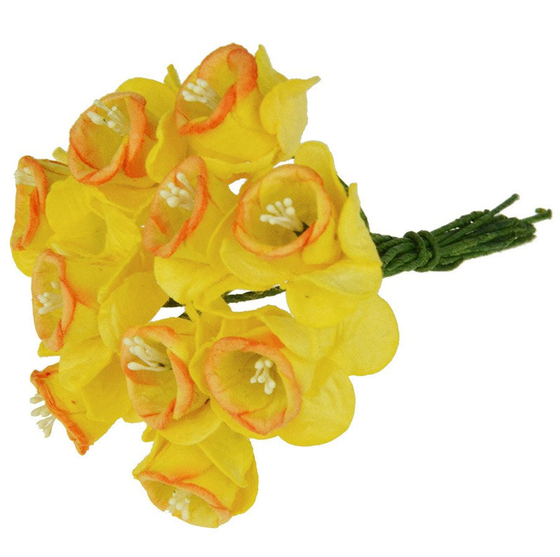 Wild Orchid Paper Daffodil Stem Flowers - Yellow/Orange 10 Pieces